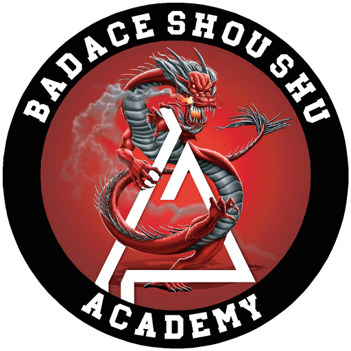 Bad Ace Martial Arts Academy