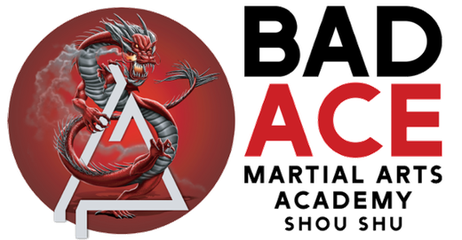Bad Ace Martial Arts Academy